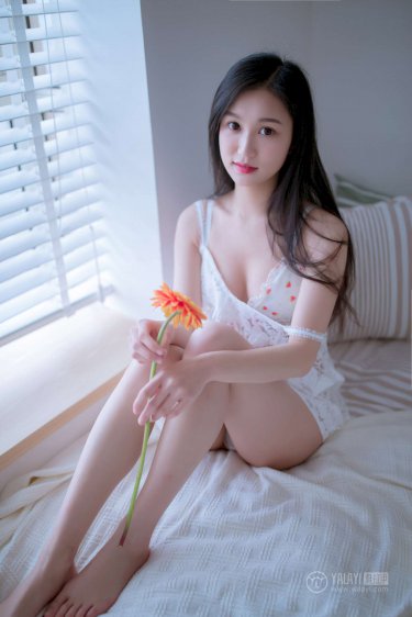 龙在江湖电视剧