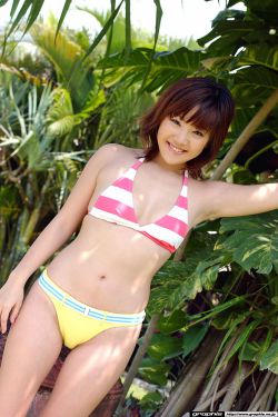 玉蕊绽冰阔落趣笔阁
