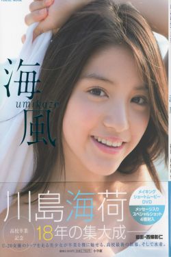 美的统治